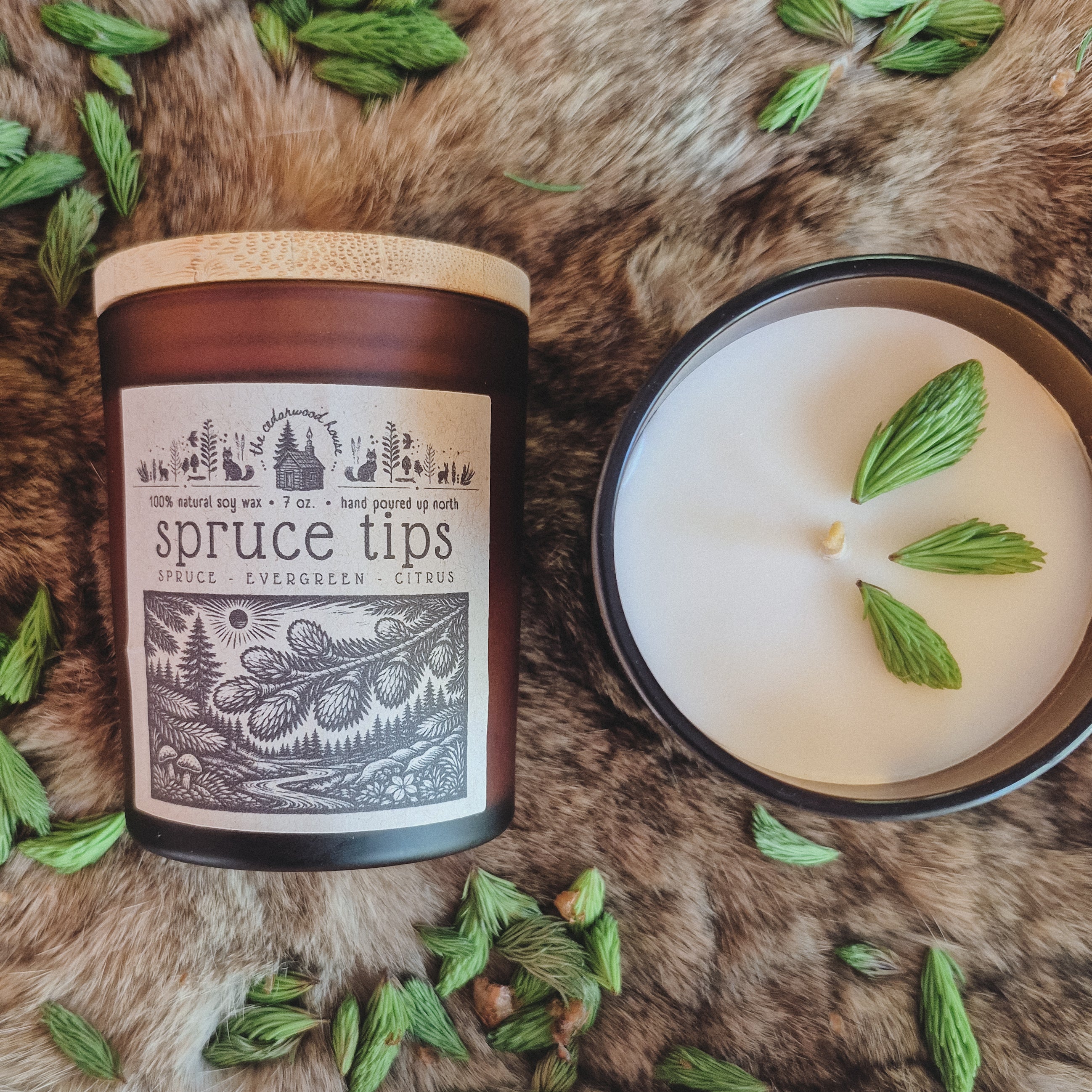Spruce Tips