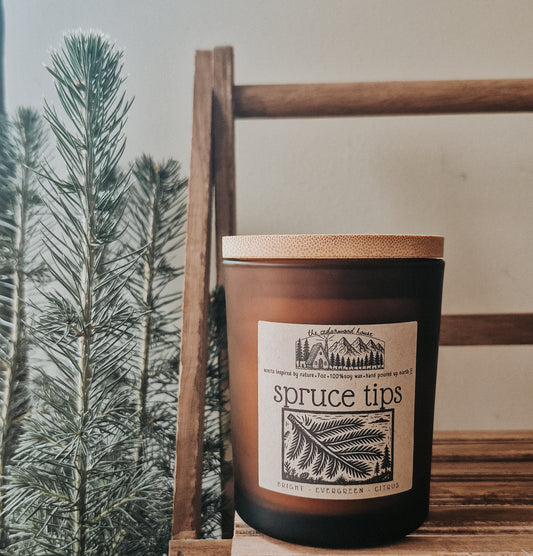 Spruce Tips