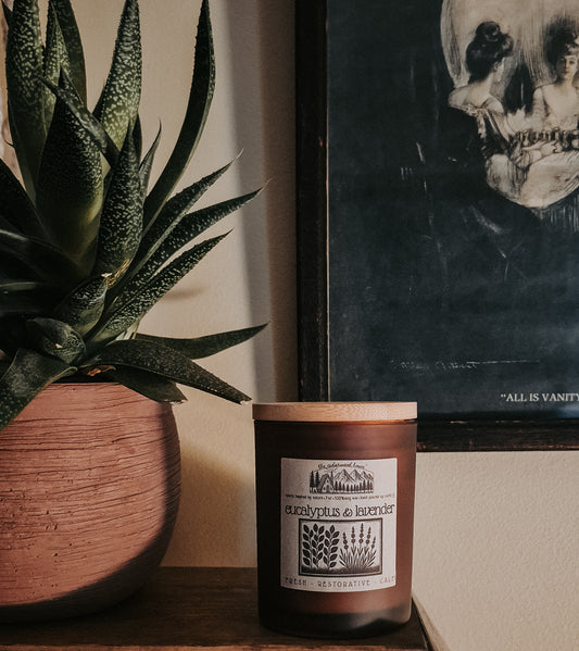 Eucalyptus & Lavender